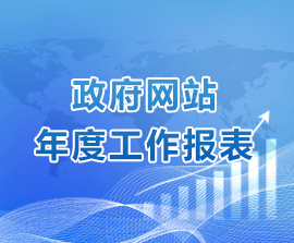 政府网站年度工作报表