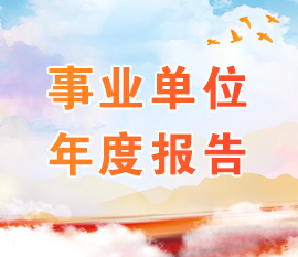 事业单位年度报告