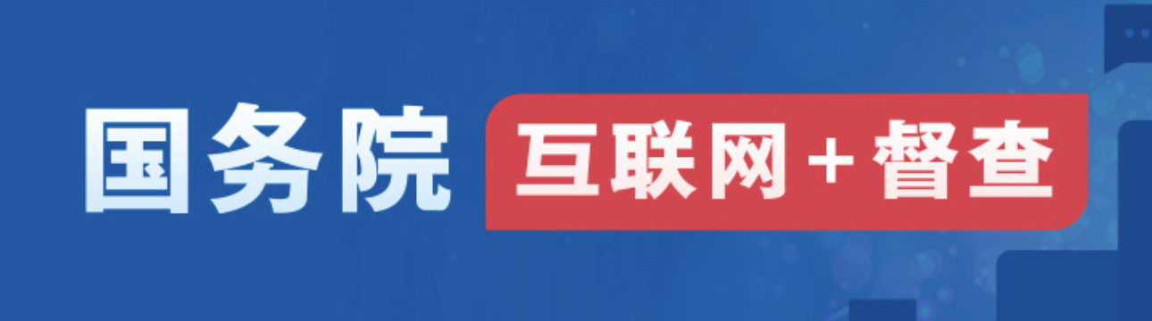 互联网+督查