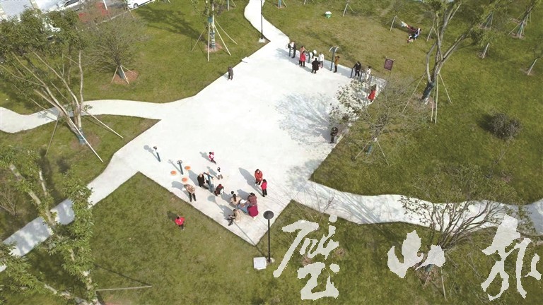 “荒地”变“乐园” 绿地焕新颜