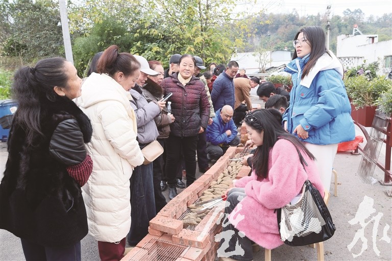 “箱遇兴隆年”重庆市首届蜜薯推广季启幕