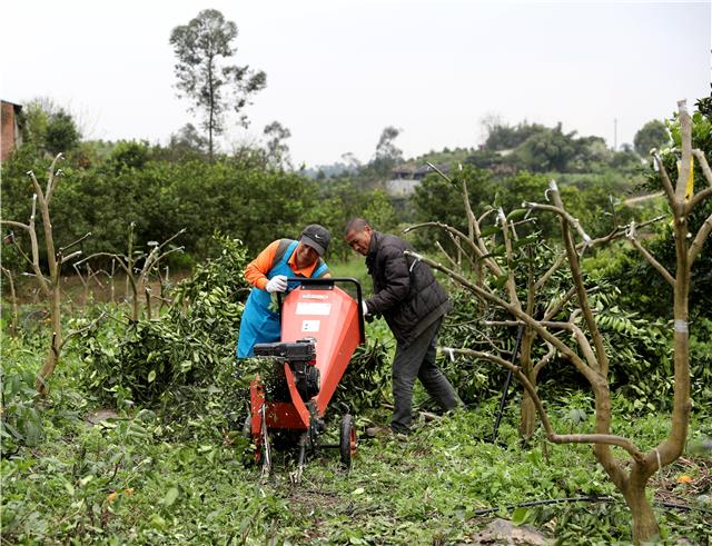 生态农业中废弃物的处理与再利用