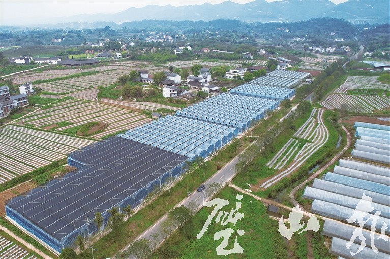 今年我区将改造提升高标准农田1.4万亩