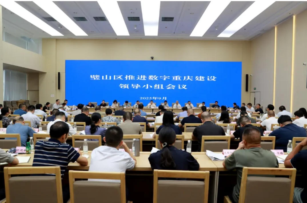 加快推动AI赋能数字重庆建设  为推进现代化人民城市基本能力建设贡献璧山力量