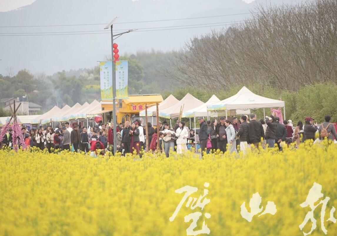 千亩花海变身“穿越”舞台 “田园花朝节”引万人踏春