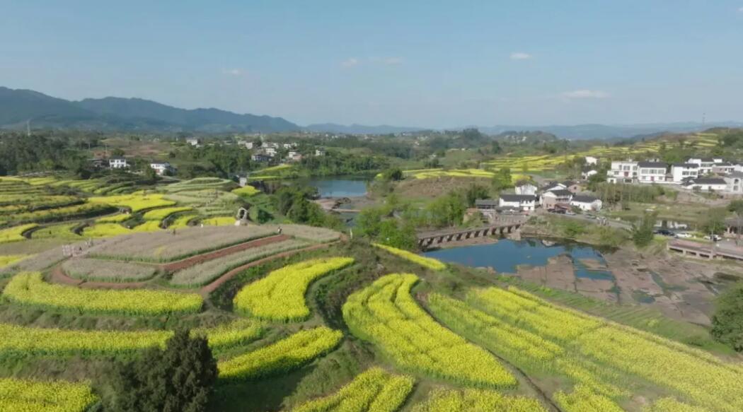 一朵花，璧山把风景变成“丰景”