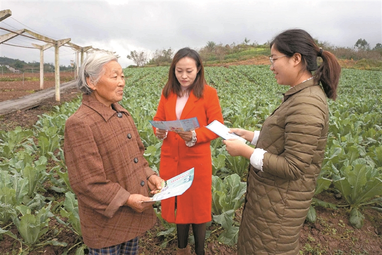 扎根农村激扬青春大学生村官助力乡村振兴