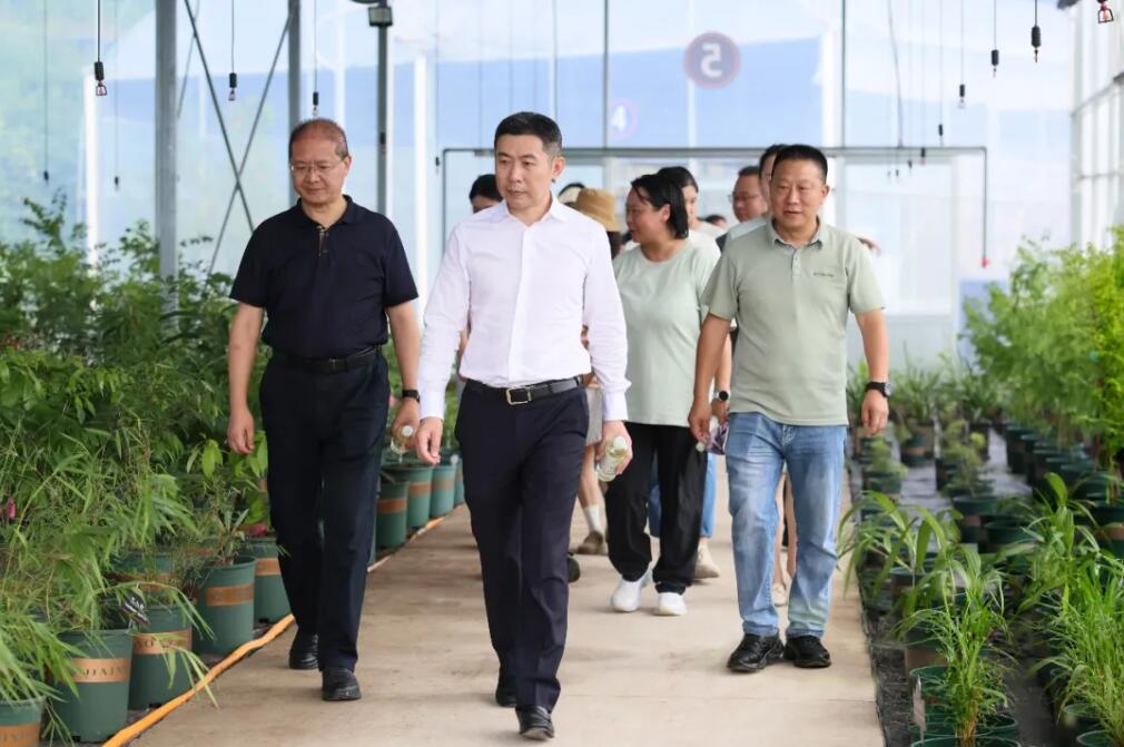 江志斌调研“万企重庆行•渝林惠八方”林业产业对接活动筹备情况